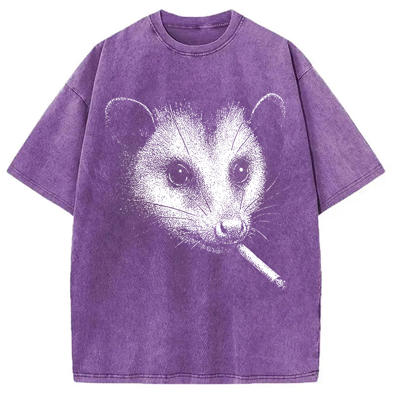 Tokyocanvas Smoking Possum Meme Washed T-Shirt