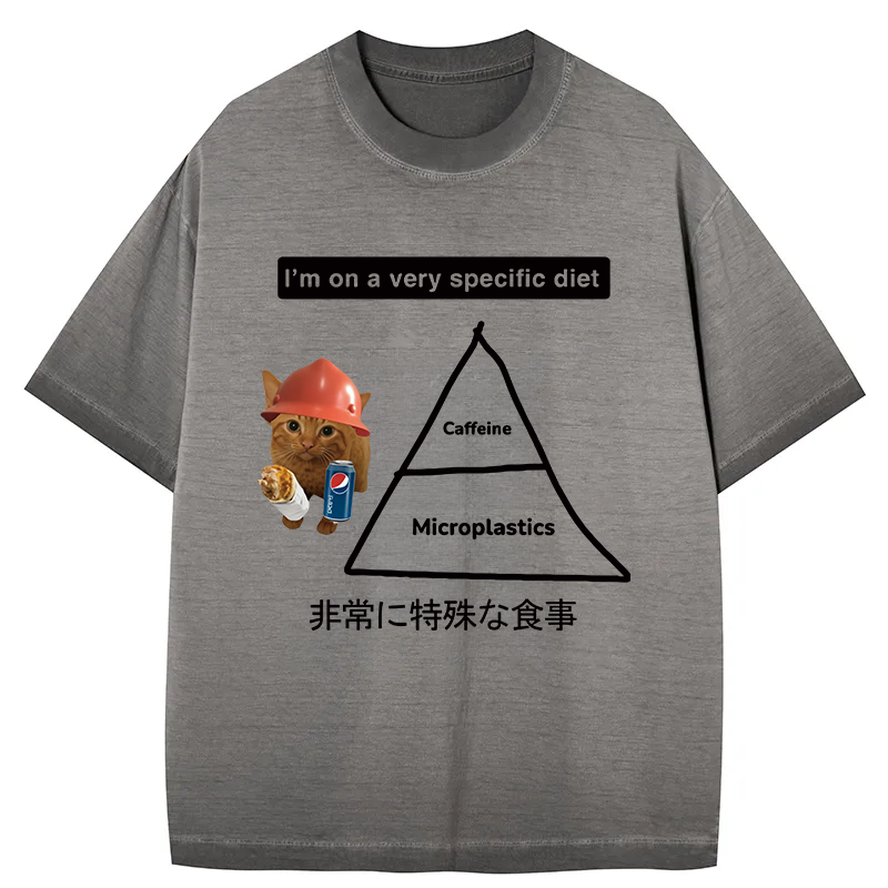 Tokyocanvas A Very Specific Diet Cat Meme Gradient Washed T-Shirt