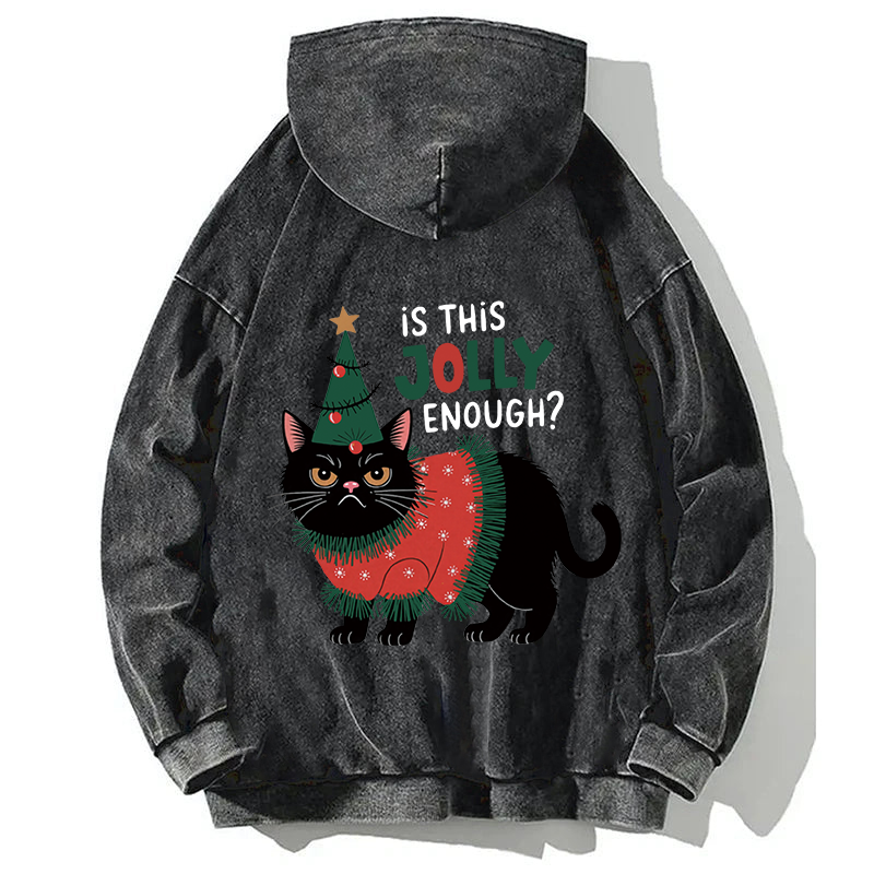Tokyocanvas Christmas-humor Cat Back Washed Hoodie