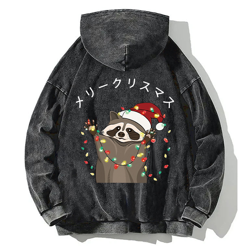 Tokyocanvas Raccoon Christmas Back Washed Hoodie