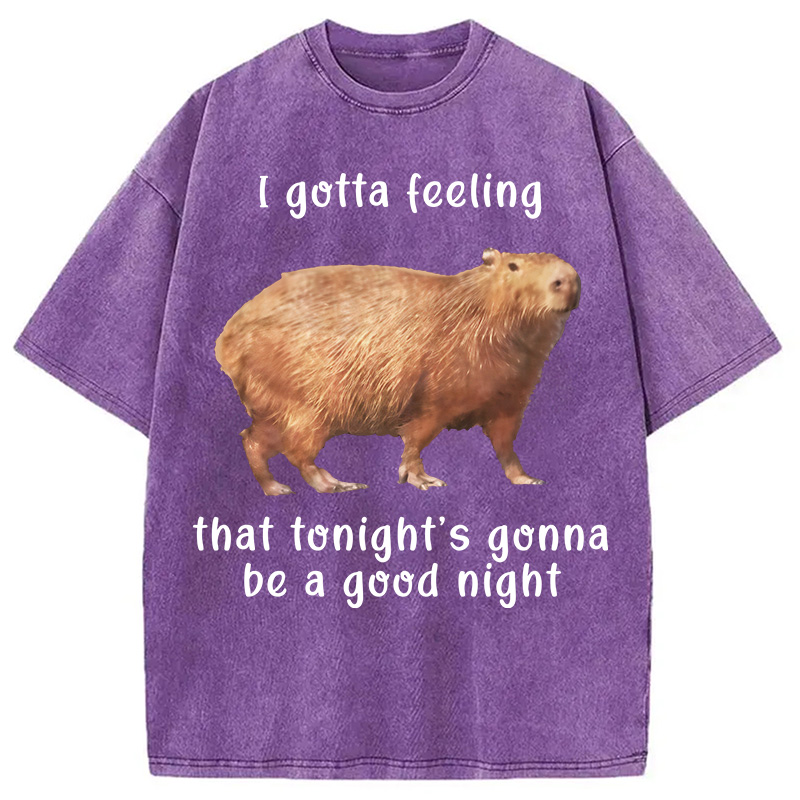Tokyocanvas Capybara Gotta Feeling Washed T-Shirt