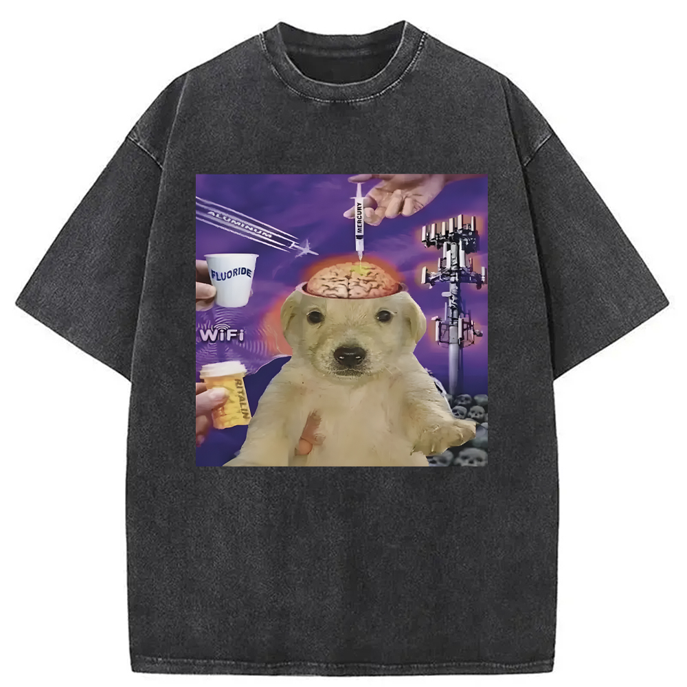 Tokyocanvas Brainwashed Jotchua Meme Washed T-Shirt