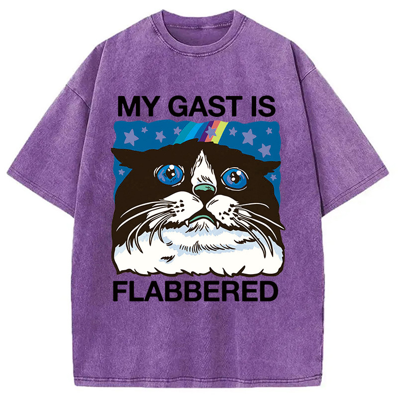 Tokyocanvas My Cat Is Washed T-Shirt