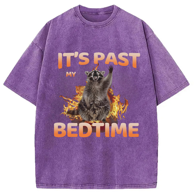 Tokyocanvas It's Past My Bedtime Washed T-Shirt