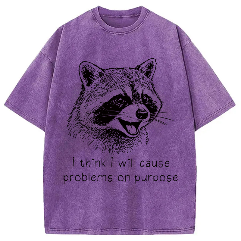 Tokyocanvas Stupid Raccoon Funny Washed T-Shirt