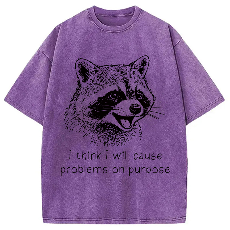 Tokyocanvas Stupid Raccoon Funny Washed T-Shirt