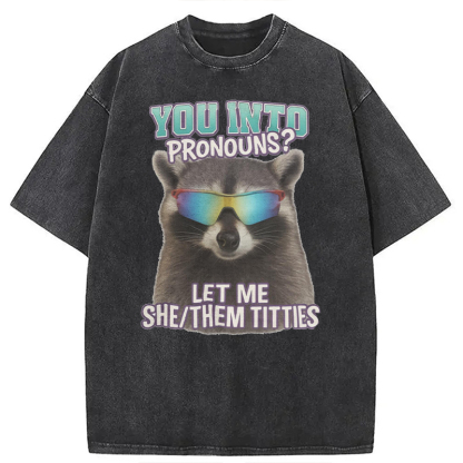 Tokyocanvas You Into Pronouns? Let Me She/Them Titt*es Raccoon Washed T-Shirt