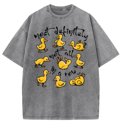 Tokyocanvas Most Definitely Not All in a Row Washed T-Shirt