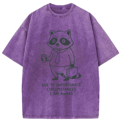 Tokyocanvas Grumpy Raccoon Morning Washed T-Shirt