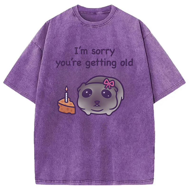 Tokyocanvas Sad Hamster Birthday Meme Washed T-Shirt