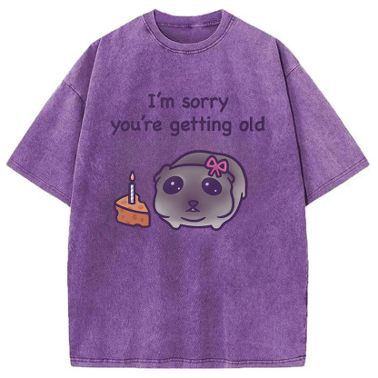 Tokyocanvas Sad Hamster Birthday Meme Washed T-Shirt
