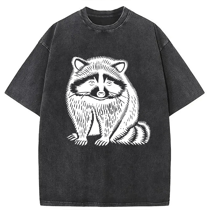 Tokyocanvas Vintage Minimalist Raccoon Washed T-Shirt