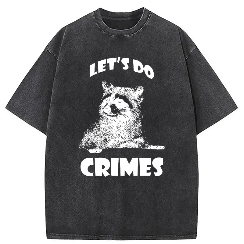 Tokyocanvas Raccoon Let's Do Crimes Washed T-Shirt