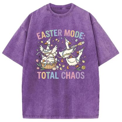 Tokyocanvas Easter Goose Washed T-Shirt