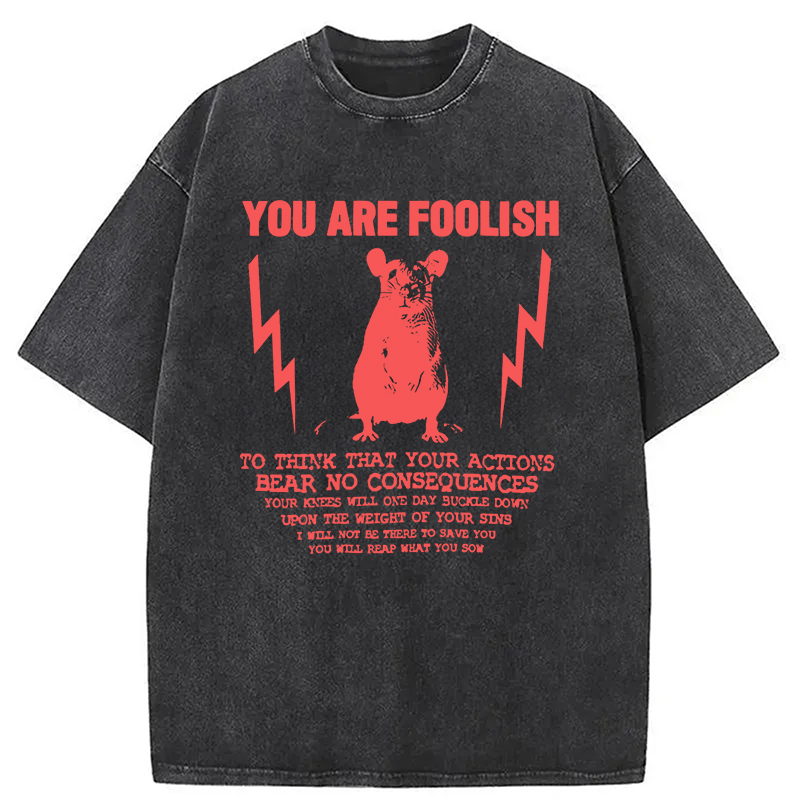 Tokyocanvas You Are Foolish Rat Meme Washed T-Shirt