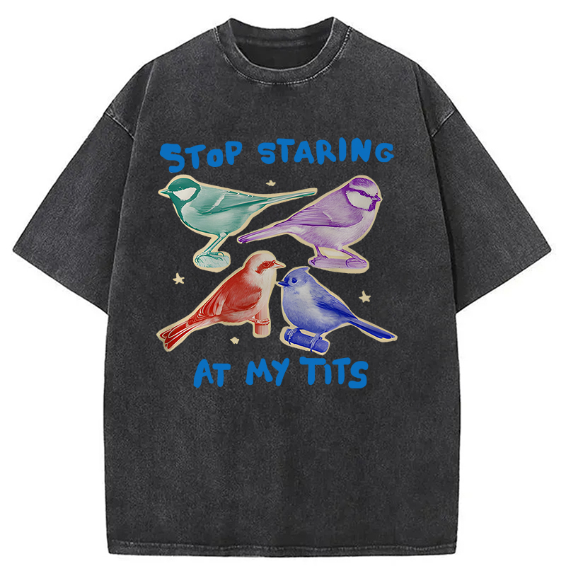 Tokyocanvas Stop Staring At My Tits Washed T-Shirt