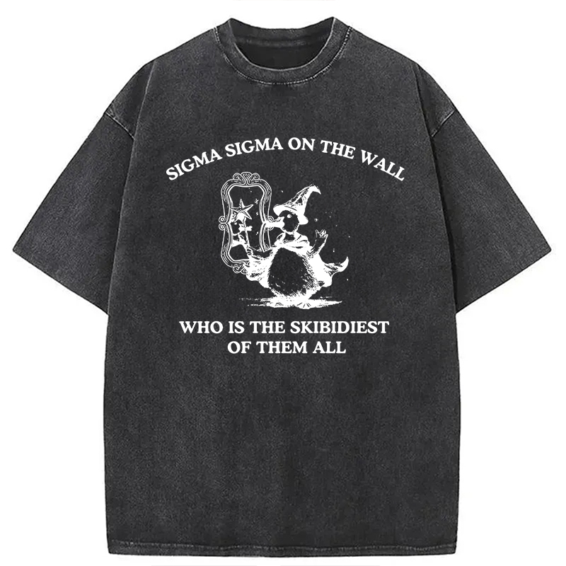 Tokyocanvas Sigma Sigma On The Wall Funny Brainrot Goose Washed T-Shirt