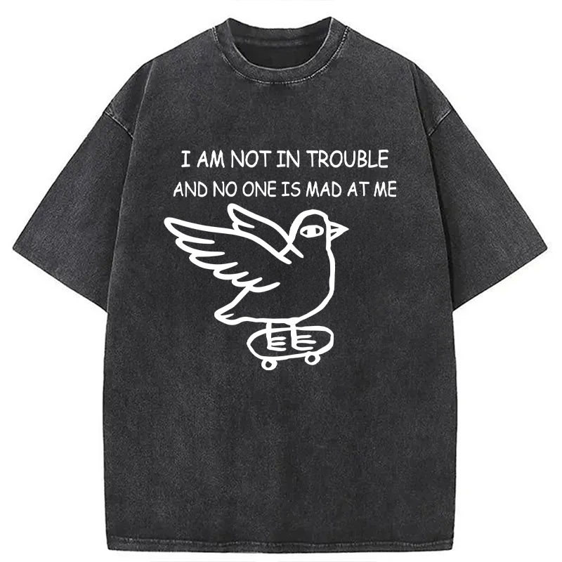 Tokyocanvas Bird Pretends It Did Nothing Wrong Washed T-Shirt