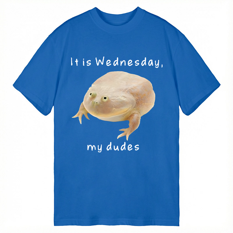 Tokyocanvas It's Wednesday my dudes Classic T-Shirt