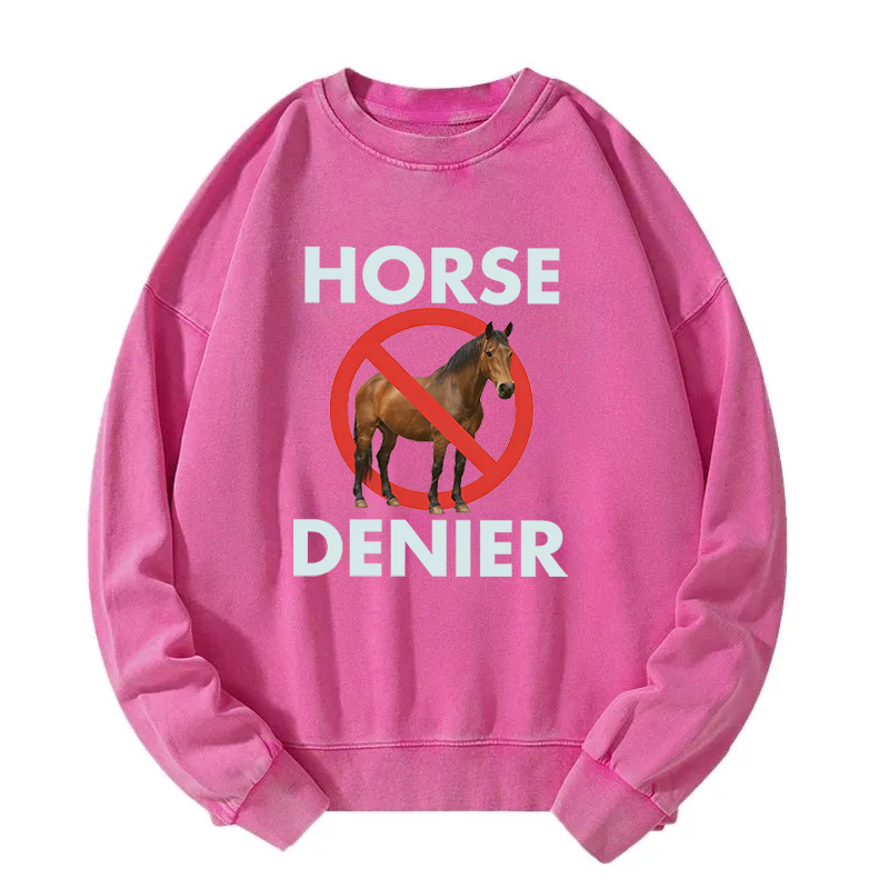 Tokyocanvas Funny Horse Denier Conspiracy Theory Washed Sweatshirt