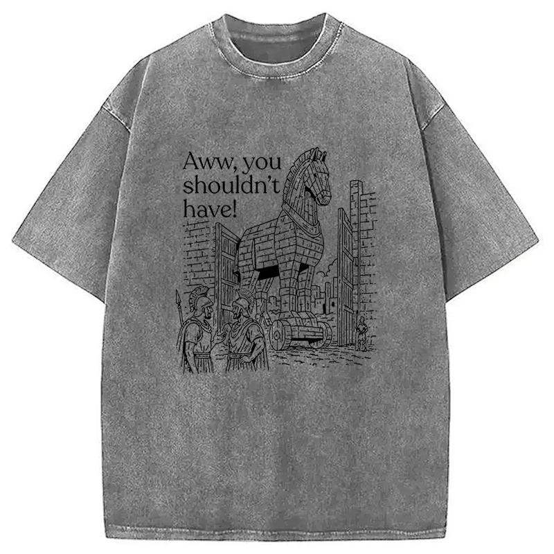 Tokyocanvas Aww, You Shouldn't Have! Washed T-Shirt