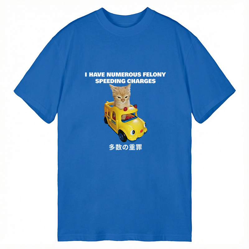 Tokyocanvas I Have Numerous Felonies For Speeding Classic T-Shirt