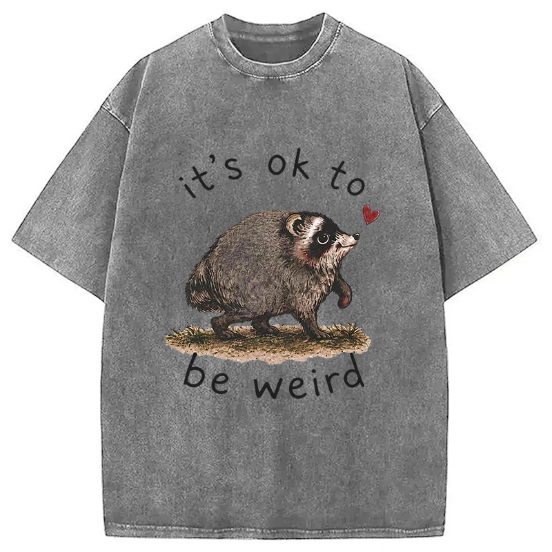 Tokyocanvas It’s OK to Be Weird Washed T-Shirt