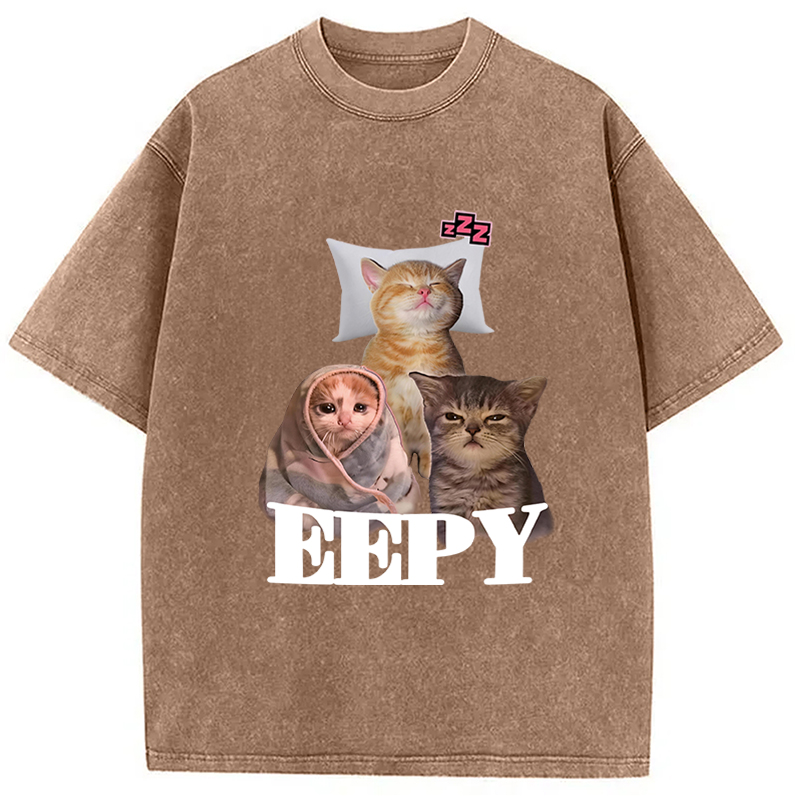 Tokyocanvas Eepy Cat Meme Washed T-Shirt