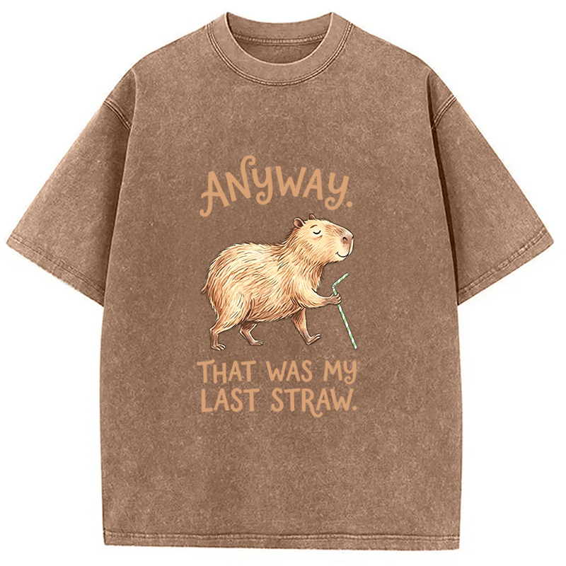 Tokyocanvas Funny Capybara Anyway that was My Last Straw Washed T-Shirt