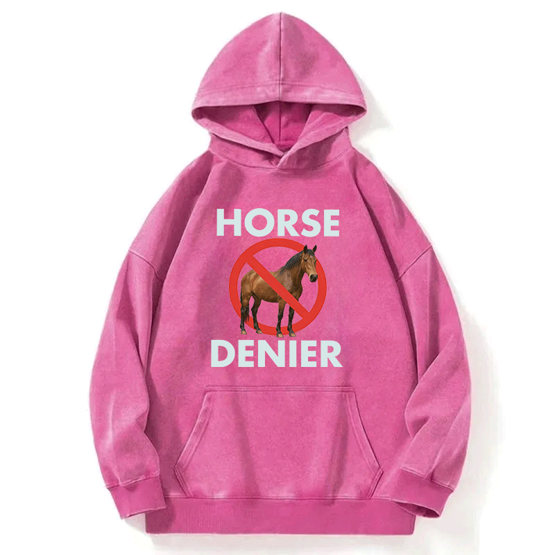 Tokyocanvas Funny Horse Denier Conspiracy Theory Washed Hoodie