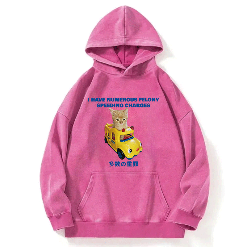 Tokyocanvas I Have Numerous Felonies For Speeding Washed Hoodie