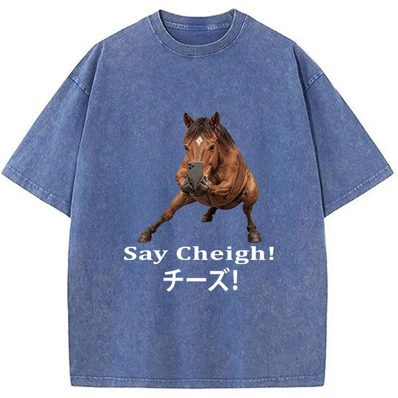 Tokyocanvas Say Cheigh! Horse Meme Washed T-Shirt