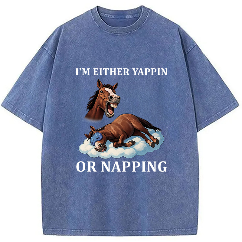 Tokyocanvas Im Either Yappin or Napping  Washed T-Shirt