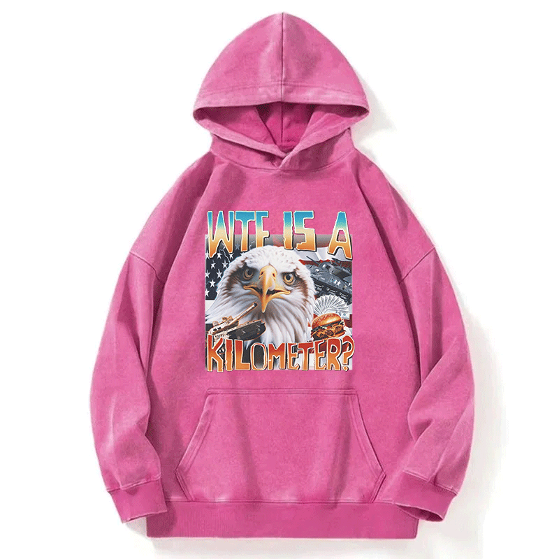 Tokyocanvas Funny America Freedom Eagle Meme Washed Hoodie
