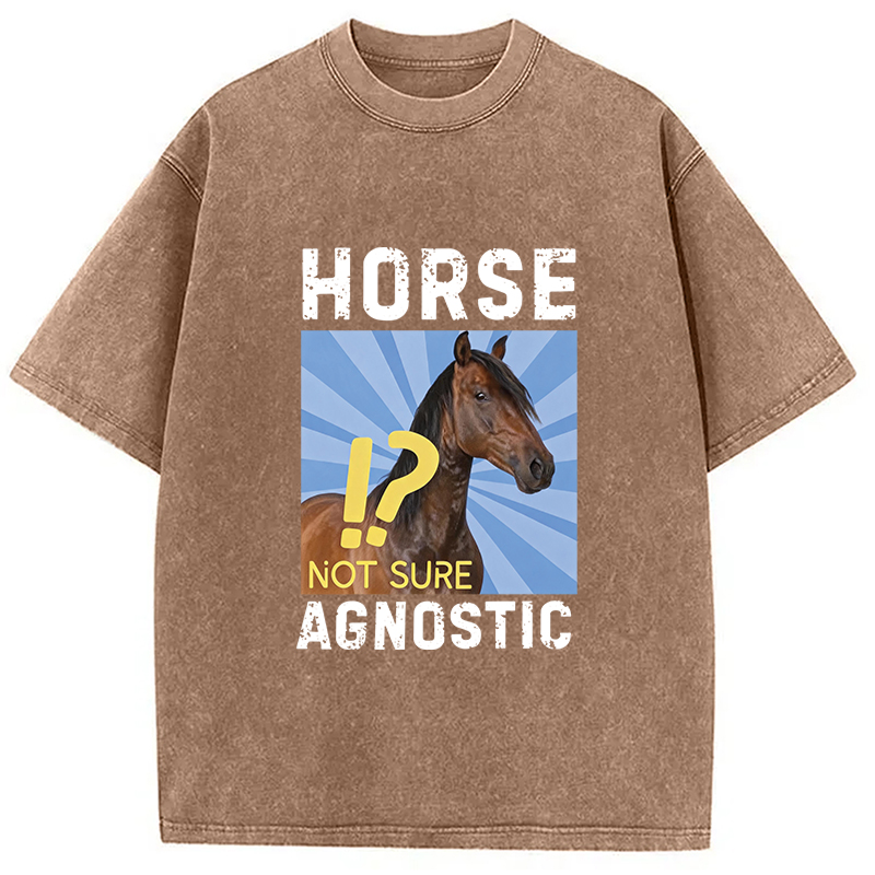 Tokyocanvas Horse Agnostic, Not Sure Essential Washed T-Shirt