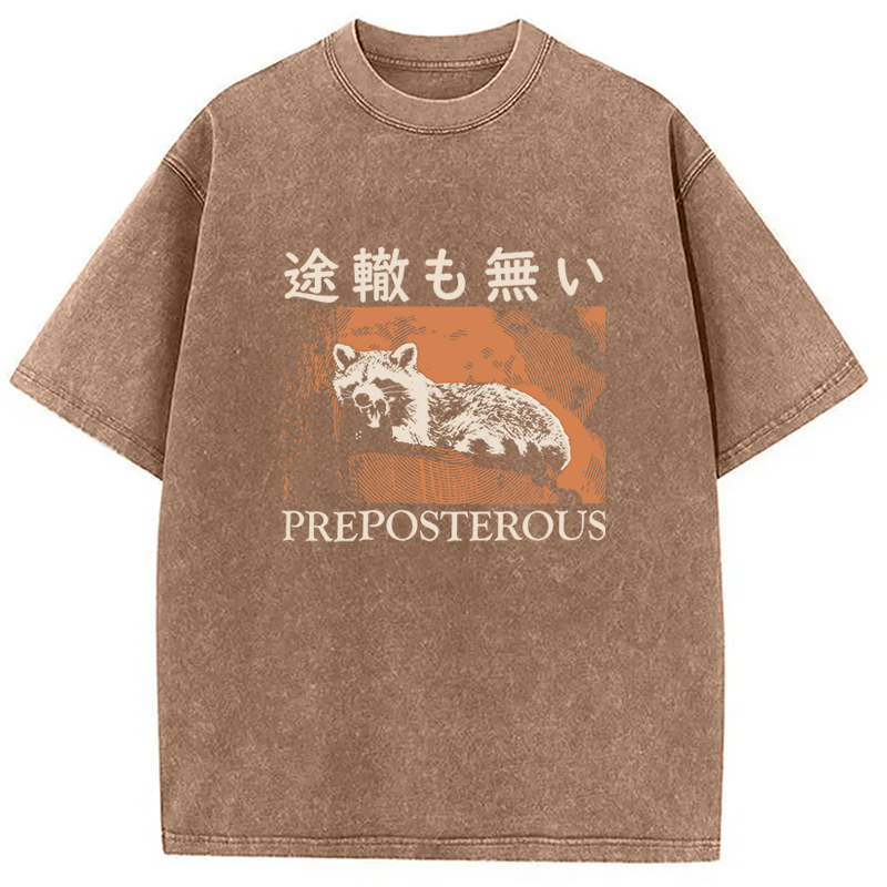Tokyocanvas Preposterous Raccoon Washed T-Shirt