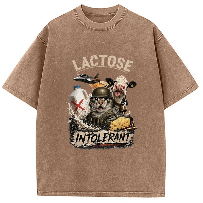 Tokyocanvas Dairy Is My Enemy Washed T-Shirt