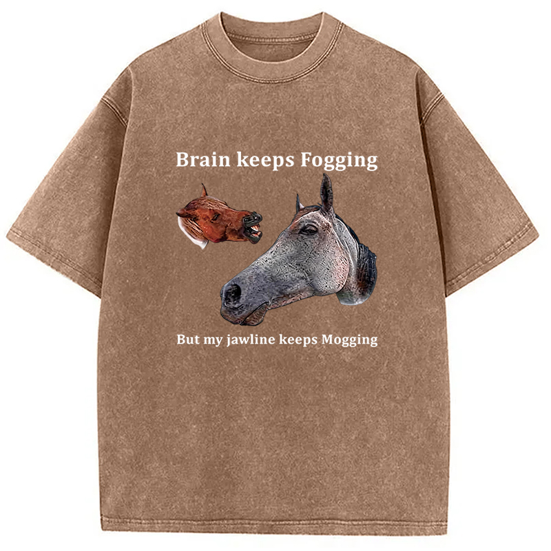 Tokyocanvas Horse Jawline Mogging Washed T-Shirt
