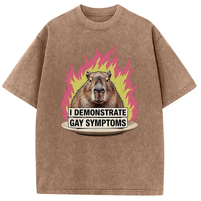 Tokyocanvas I Demonstrate Gay Symptoms Funny Washed T-Shirt