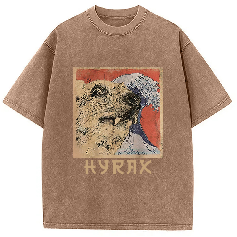 Tokyocanvas Hyrax Japanese Vintage Washed T-Shirt