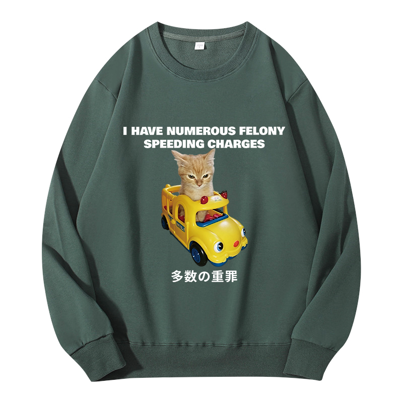 Tokyocanvas I Have Numerous Felonies For Speeding Classic Sweatshirt