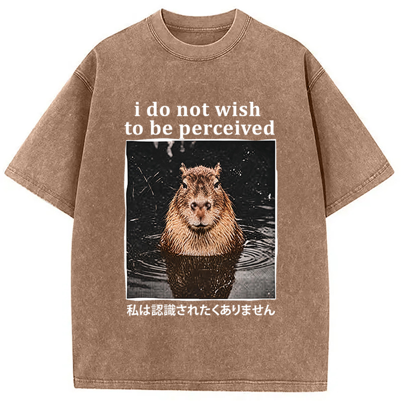 Tokyocanvas I Do Not Wish to Be Perceived Capybara Washed T-Shirt