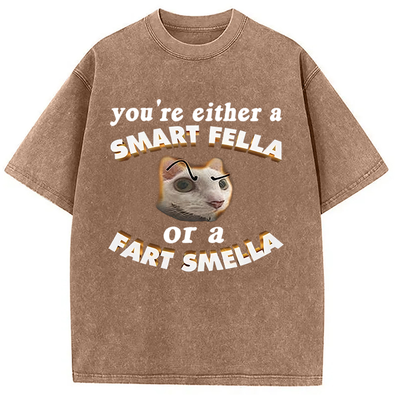 Tokyocanvas You're Either A Smart Fella Or A Fart Smella Funny Cat Washed T-Shirt