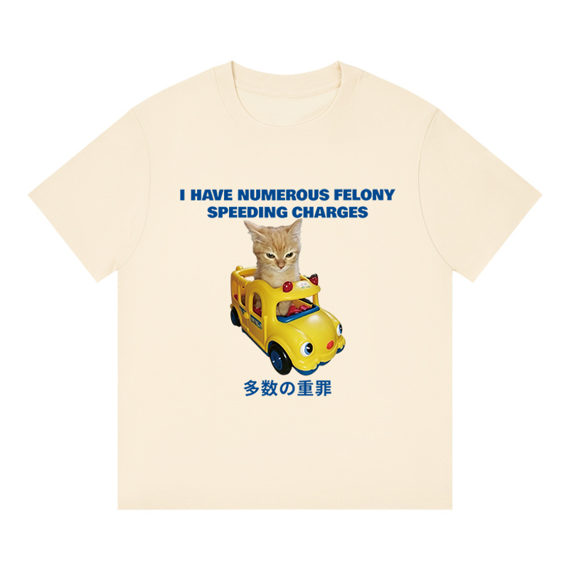 Tokyocanvas I Have Numerous Felonies For Speeding Boxy T-shirt