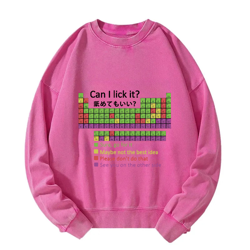 Tokyocanvas Can I Lick It Washed Sweatshirt