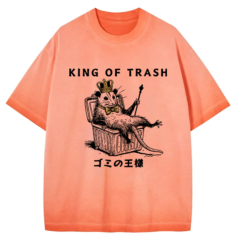 Tokyocanvas King Of Trash Gradient Washed T-Shirt