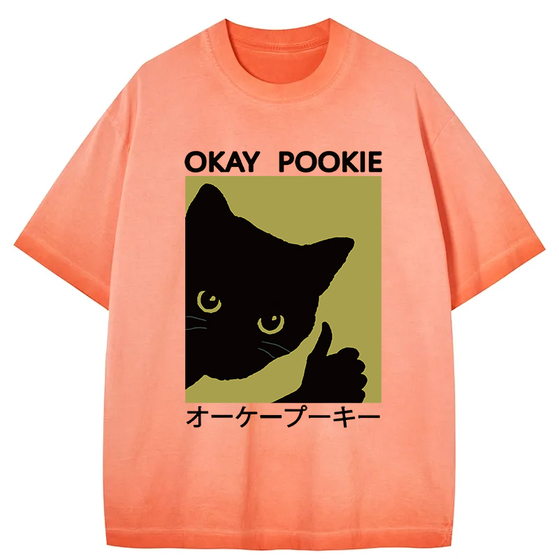 Tokyocanvas Okay Pookie Cat Gradient Washed T-Shirt