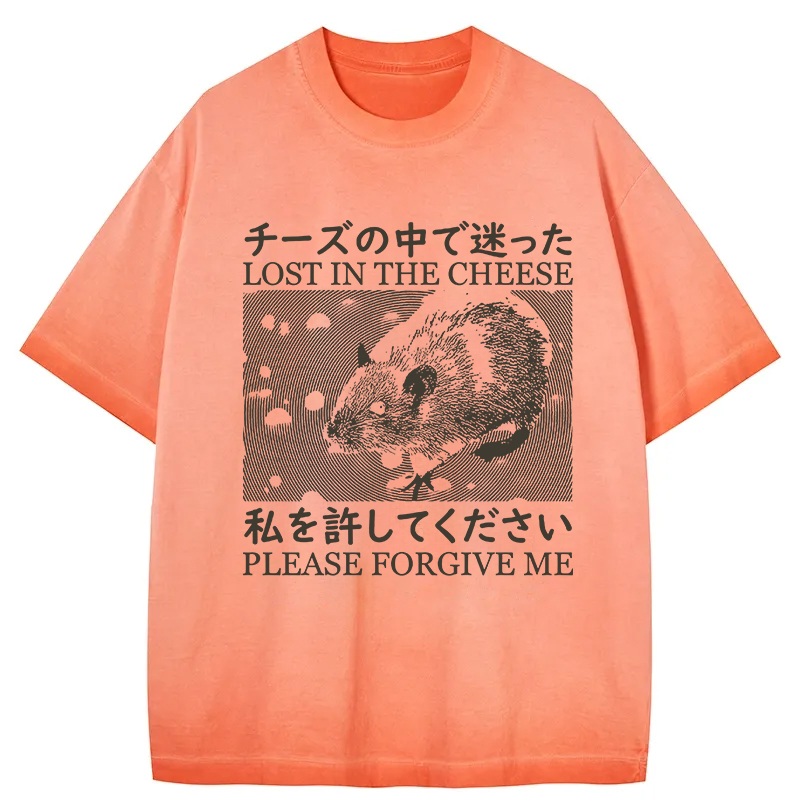 Tokyocanvas Lost in the Cheese Please Forgive Me Gradient Washed T-Shirt