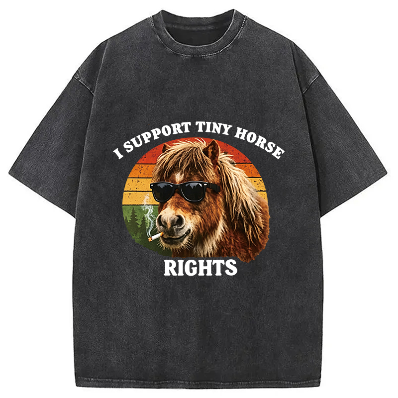 Tokyocanvas Frog Wizard Riding A Horse Washed T-Shirt