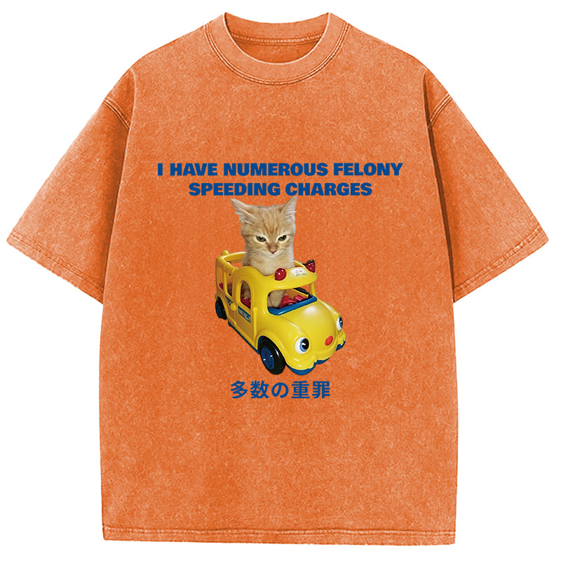 Tokyocanvas I Have Numerous Felonies For Speeding Washed T-Shirt